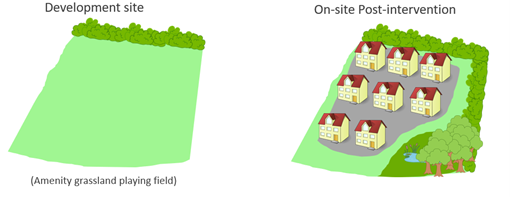 Biodiversity Net Gain Guidance | Making Space For Nature Kent